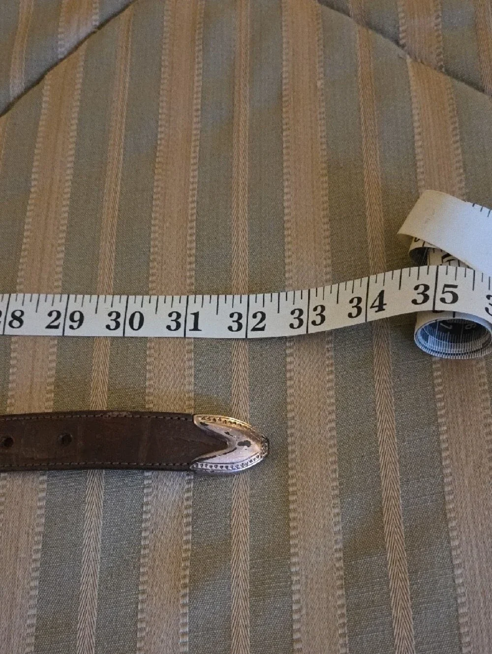 Brighton Brown Leather Belt with Silver Accents